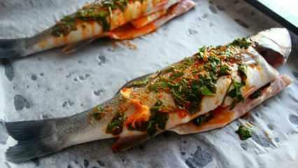 ¿Cómo cocinar pescado azul? ¡La forma más fácil de cocinar pescado azul! Receta de pescado azul al horno