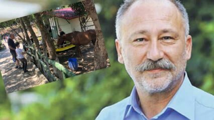 ¡Altan Erkekli fue visto en la granja de caballos Sarıyer con su hijo!