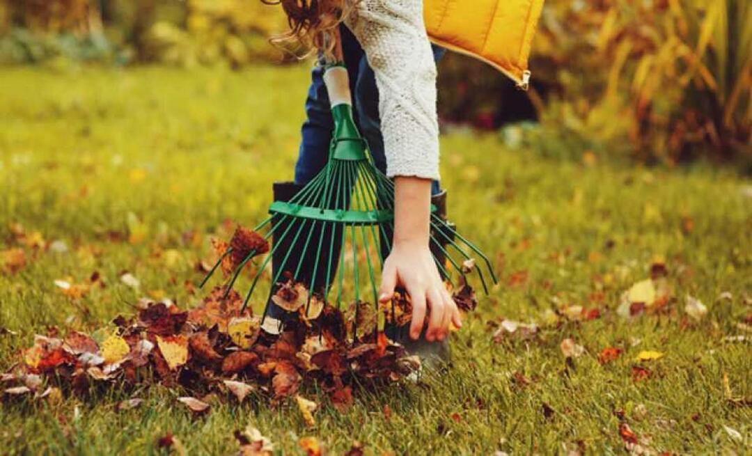 ¿Cómo limpiar el jardín en otoño? ¿Se azada el jardín en otoño? limpieza de jardin
