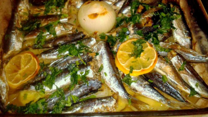 ¿Cómo cocinar pescado de sardina? Receta de sardina más fácil