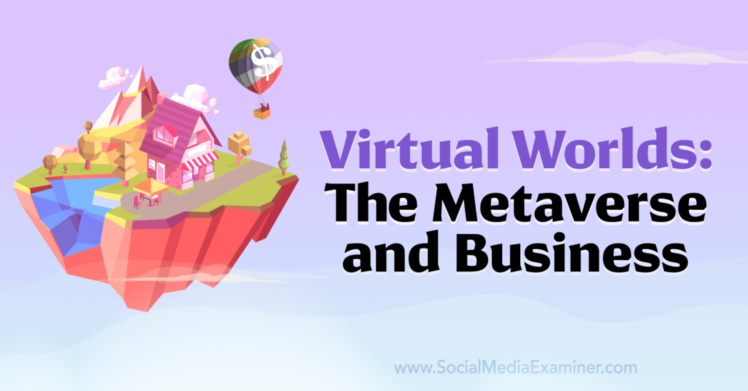 Mundos virtuales: el metaverso y los negocios: examinador de redes sociales