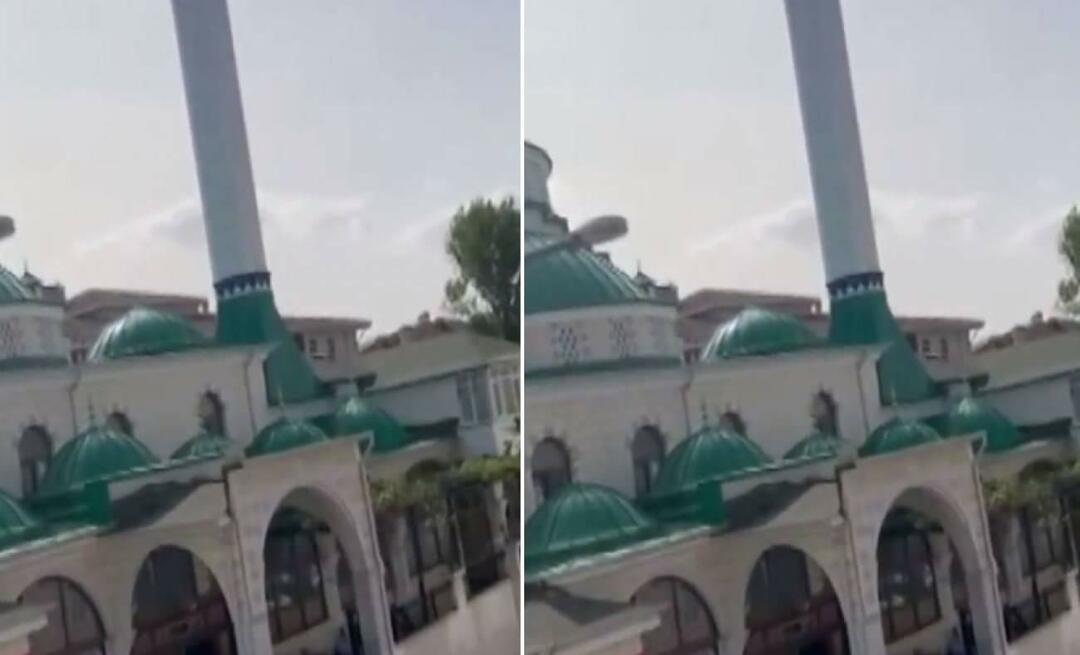 ¡El anuncio 'El gato está triste' hecho desde la mezquita se volvió viral! Esos momentos que hacen sonreír a todos...