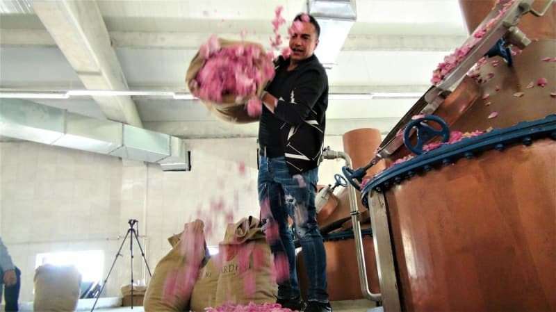 ¡Berdan Mardini estableció una fábrica de aceite de rosas en su ciudad natal!