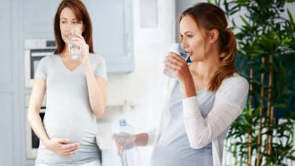 ¡Beneficios del agua potable para mujeres embarazadas! ¿Cuánta agua se debe consumir por día durante el embarazo? 