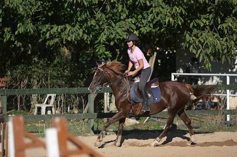 Granja de caballos Kenan Bey