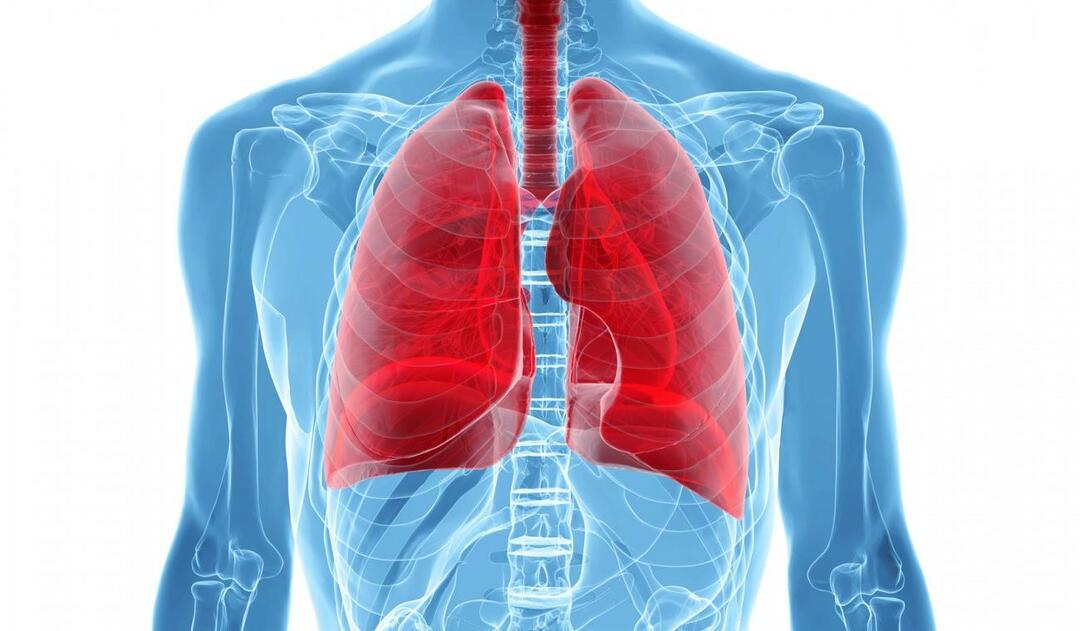 ¿Qué es el síndrome del pulmón blanco y cuáles son sus síntomas? ¿Cuál es el tratamiento para el síndrome del pulmón blanco?