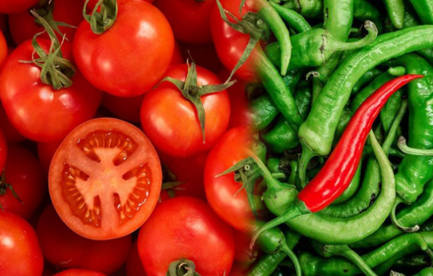 ¿El tomate y la pimienta se debilitan?