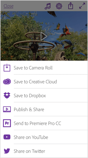 Comparta su video de Adobe Premiere Clip directamente en YouTube y Twitter, o guárdelo en su Galería o Creative Cloud