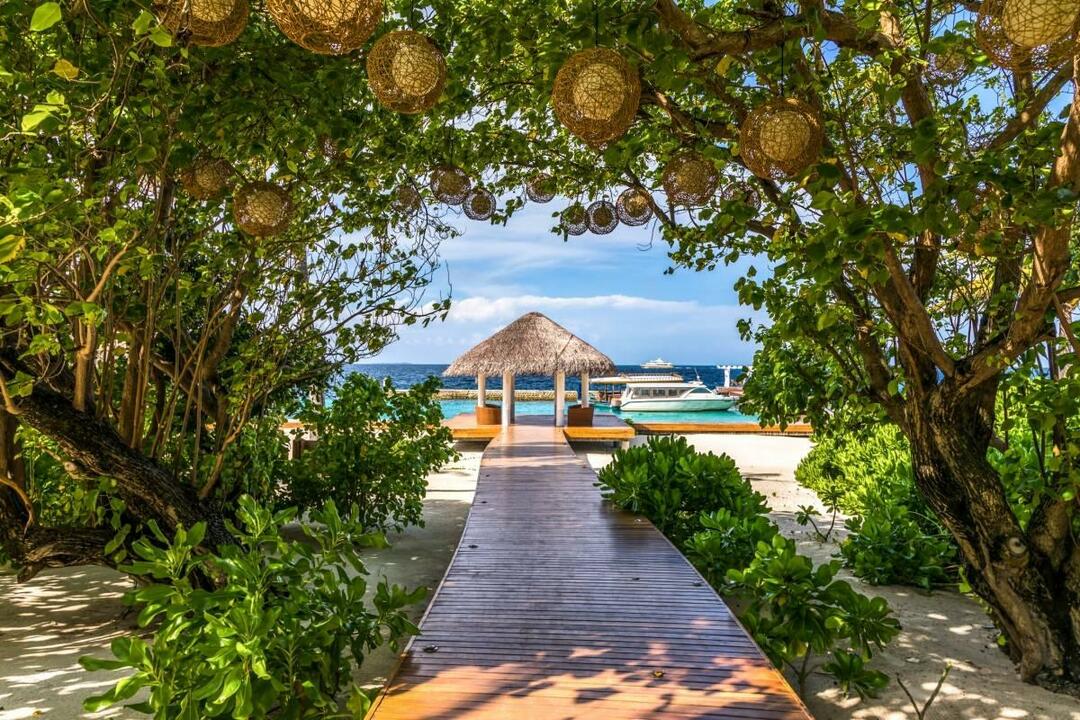 ¡Las vacaciones de tus sueños se hacen realidad en las Maldivas!