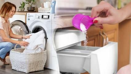 ¿Cuál es el mejor detergente para ropa blanca? ¡Las mejores recomendaciones de detergentes para ropa! El mejor detergente en polvo.