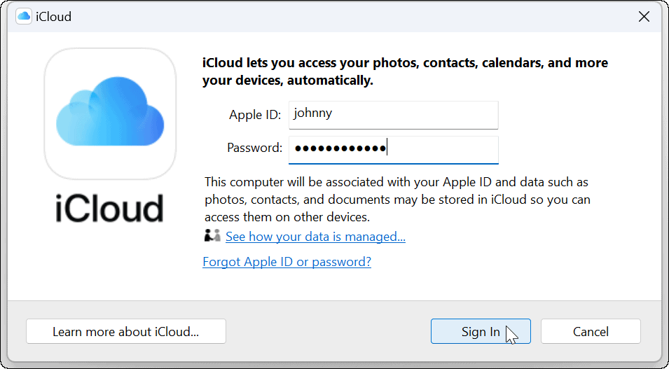 Conecte Apple iCloud con la aplicación Fotos de Windows 11