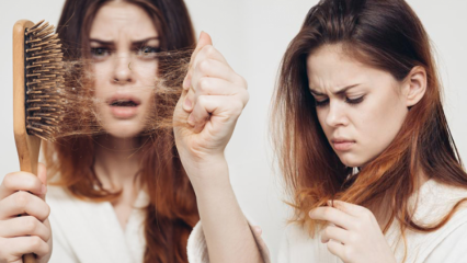 ¿Qué es bueno para la caída del cabello? Causas de la caída del cabello durante el embarazo y el posparto.