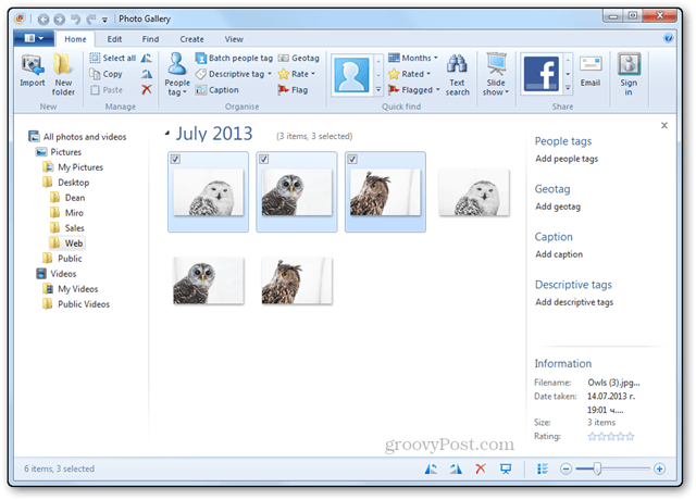 Cambiar el tamaño de varias fotos con Windows Live Photo Gallery