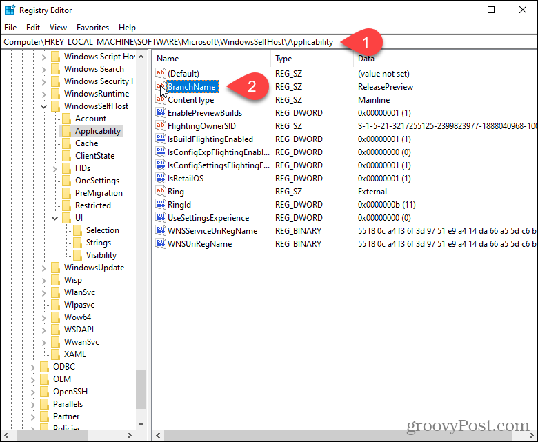 Haga doble clic en la clave BranchName en el registro de Windows