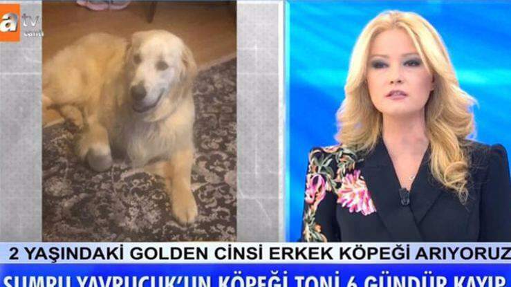 El presentador Müge Anlı anunció: El perro de la actriz Sumru Yavrucuk fue encontrado ...