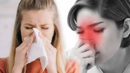 ¿Qué es la rinitis alérgica? ¿Cuáles son los síntomas de la rinitis alérgica? ¿Existe algún tratamiento para la rinitis alérgica?