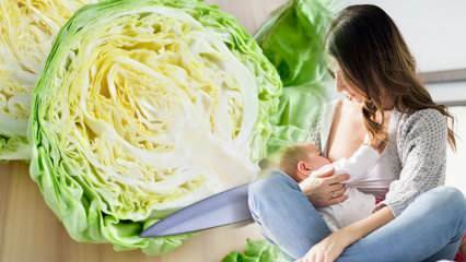 ¿El repollo produce gas en la madre lactante y el bebé? ¿Pueden las madres que amamantan tomar jugo de repollo? 
