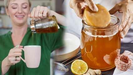 ¿El té de kombucha se debilita? ¿Cómo hacer kombucha para adelgazar? Beneficios del té de Kombucha
