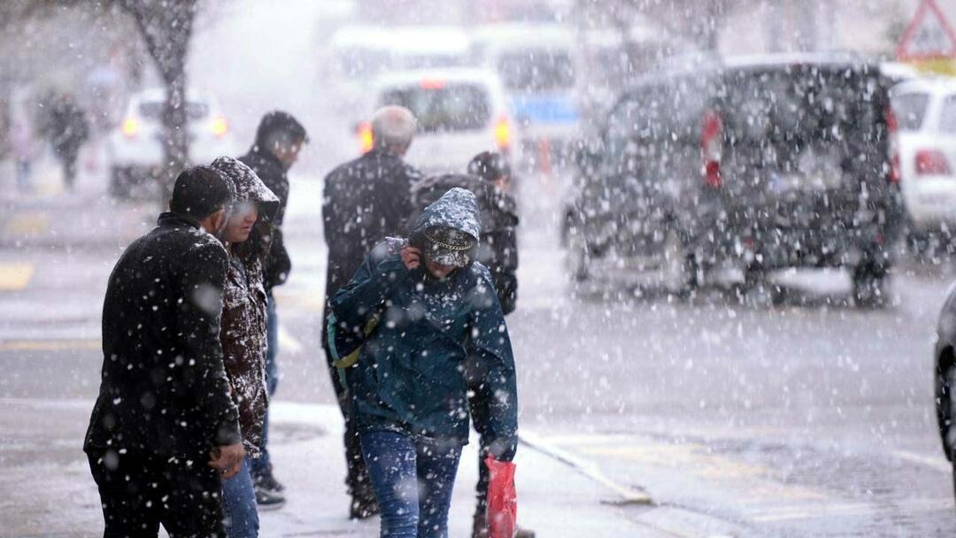 ¿Qué es el invierno de El Niño? ¿Cuándo llegará el invierno de El Niño? ¡El invierno de 1987 ha vuelto!