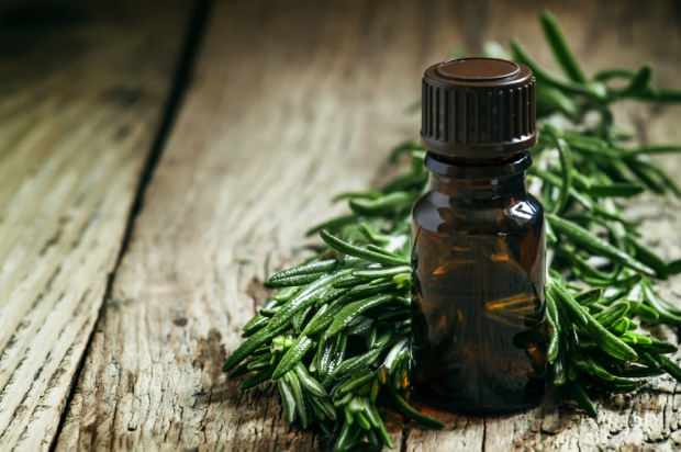 el aceite de árbol de té se usa para tratar el acné y las manchas