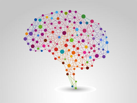 Imagen del cerebro de Shutterstock 130952750