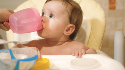 ¿Cuándo se les da agua a los bebés? ¿Se puede dar agua a un bebé alimentado con fórmula en la transición a la alimentación complementaria?