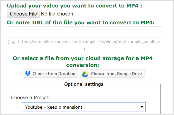 La aplicación de conversión en línea crea un archivo MP4