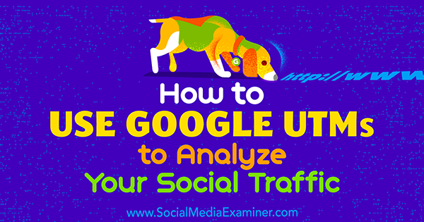 Cómo utilizar los UTM de Google para analizar su tráfico social por Tammy Cannon en Social Media Examiner.