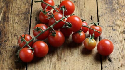 ¿Cómo prevenir la podredumbre del tomate? ¿Cómo prevenir la polilla del tomate? 