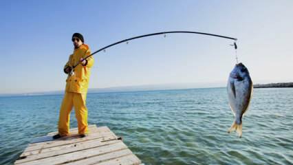 ¿Como pescar? ¿Cuáles son los trucos de pescar con caña de pescar?