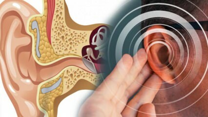 Enfermedad del oído: ¿Qué causa menier? ¿Cuáles son los síntomas de Meniere? ¿Existe cura?