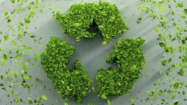 ¿Cuáles son los beneficios de usar Zero Waste?