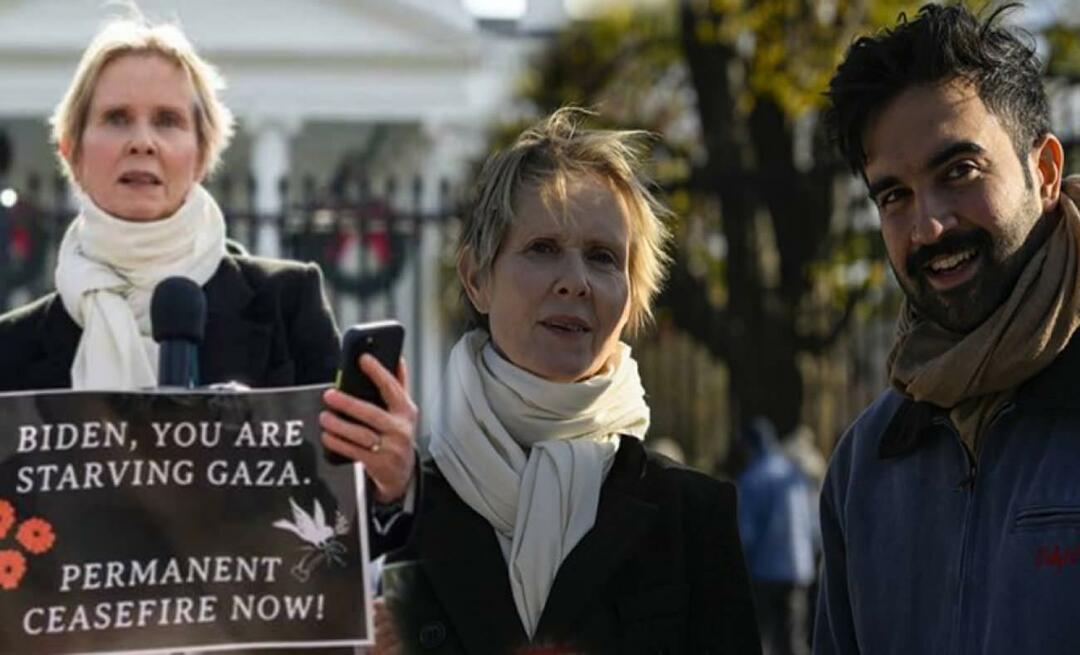 ¡La actriz estadounidense Cyntia Nixon habló en nombre de los palestinos frente a la Casa Blanca!