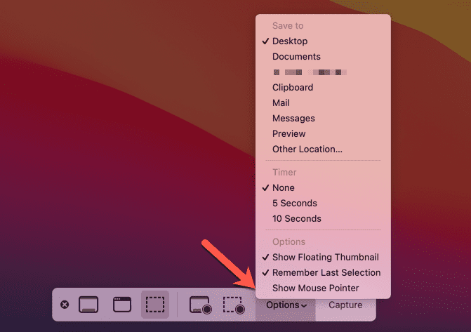 Opciones de la barra de captura de pantalla de Mac