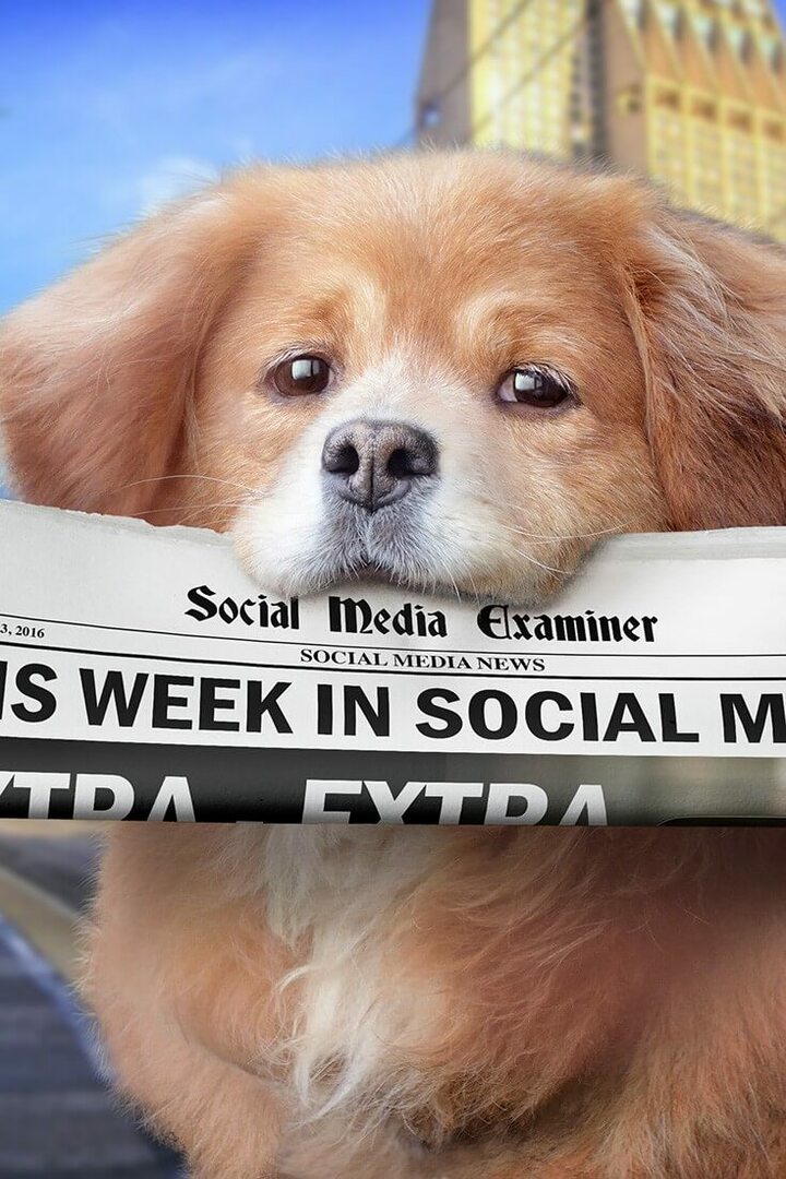 Facebook Live lanza la segmentación por audiencia: esta semana en las redes sociales: examinador de redes sociales