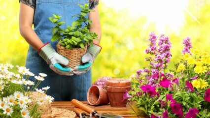 ¿Cómo debería ser la jardinería en febrero?