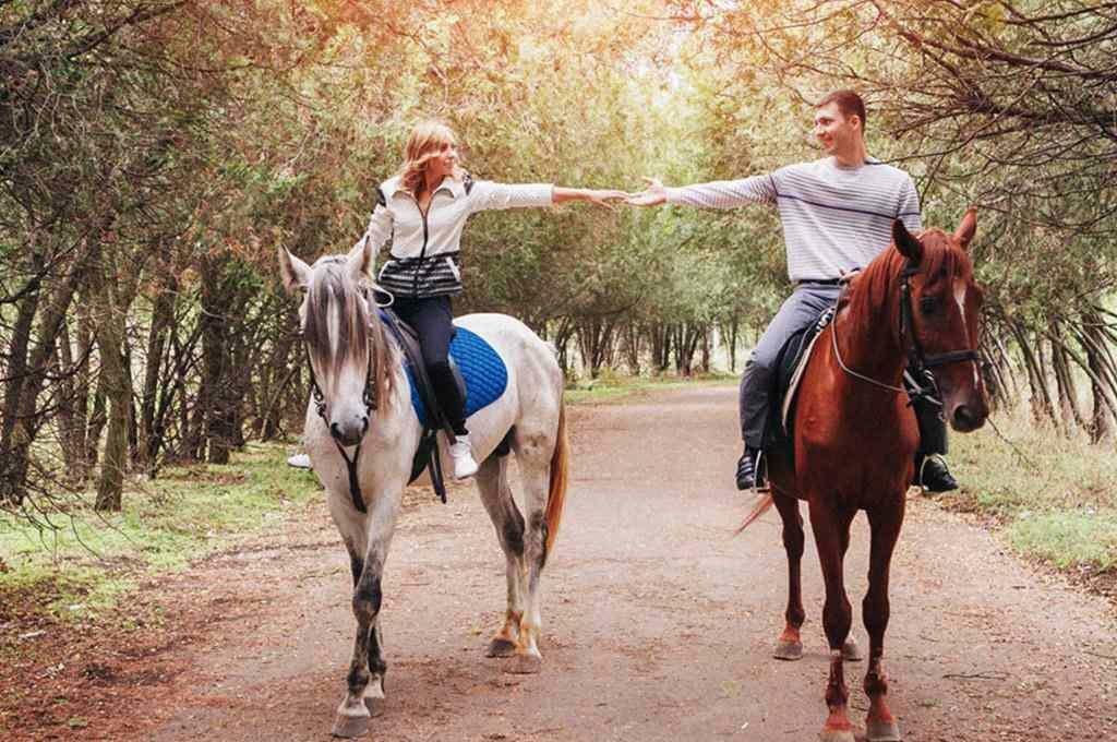 Sesión de fotos en granjas de caballos. 