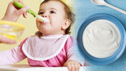 ¿Cómo hacer yogurt para bebés? Recetas caseras de yogurt de frutas para bebés