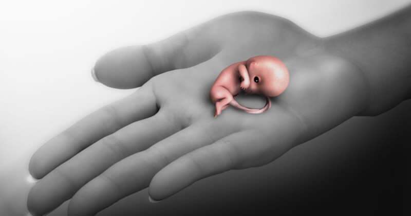 ¿Qué es un aborto espontáneo? Síntomas de aborto espontáneo durante el embarazo.