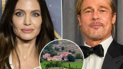 Brad Pitt Jolie en el caso del Castillo Miraval que se convirtió en una historia de serpientes