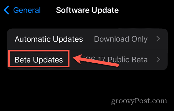 actualizaciones beta de iphone