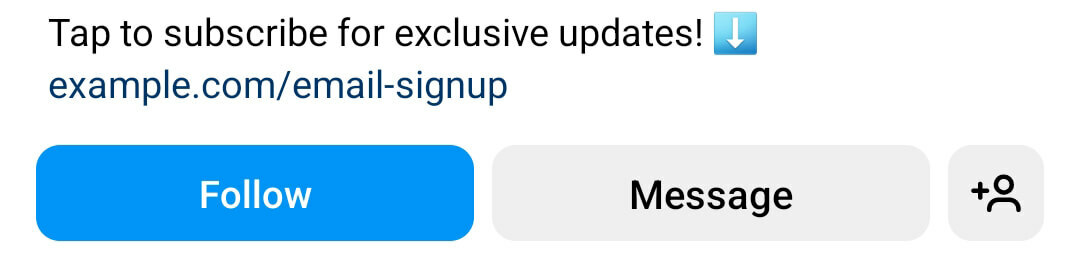 cómo-agregar-un-email-opt-in-form-link-in-your-instagram-bio-direct-link-input-url-opcional-título-llamada-a-la-acción-cta-follow-example- 2