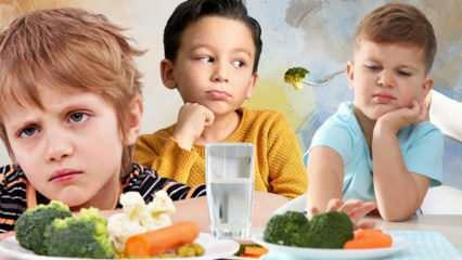 ¿Cómo se deben alimentar los vegetales y las frutas a los niños? ¿Cuáles son los beneficios de las verduras y frutas?