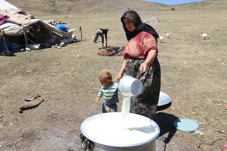 ¡Desafiante viaje de 'leche' de mujeres nómadas en burros!