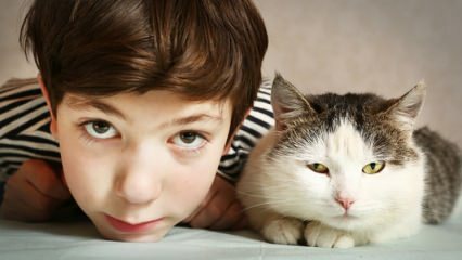 ¿Cuál es el efecto de las mascotas en los niños?