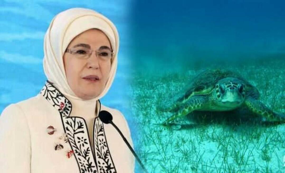 Compartiendo "tortugas marinas" de Emine Erdoğan: "Mientras las protejamos, seguirán viviendo"