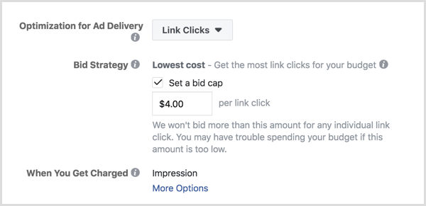 Establecer límite de oferta de anuncios de Facebook.