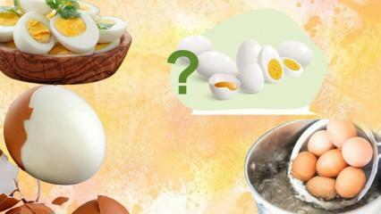 ¡Dieta del huevo cocido! ¿El huevo te mantiene lleno? 12 kilos en una semana 