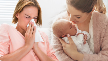 ¿Cómo pasa la gripe en madres lactantes? Las soluciones herbales más efectivas para la gripe en madres lactantes