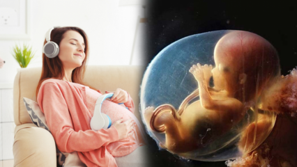 ¡La voz más afectada del bebé en el vientre de la madre! ¿Qué aprenden y hacen los bebés en el vientre de su madre?